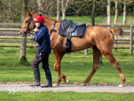 BP200326-48 - It's Hard To Know